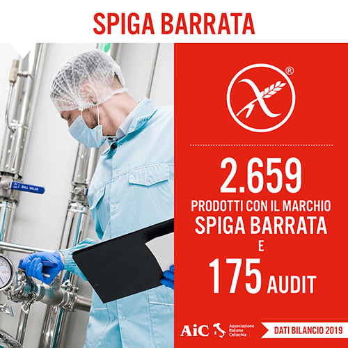 Card_Spiga Barrata